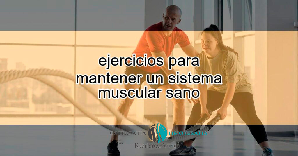 Ejercicios Para Mantener Un Sistema Muscular Sano Featured 1024x535