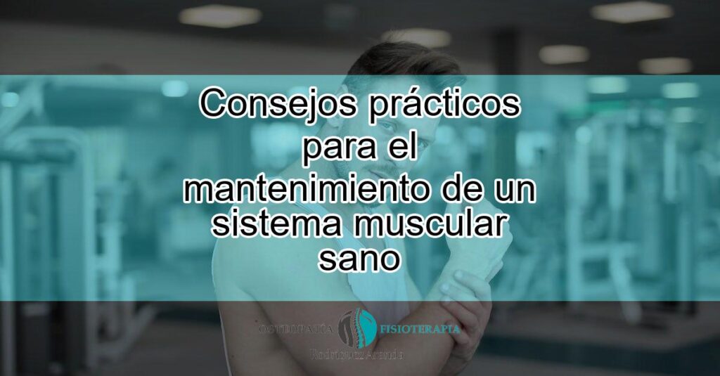 Consejos Practicos Para El Mantenimiento De Un Sistema Muscular Sano Featured