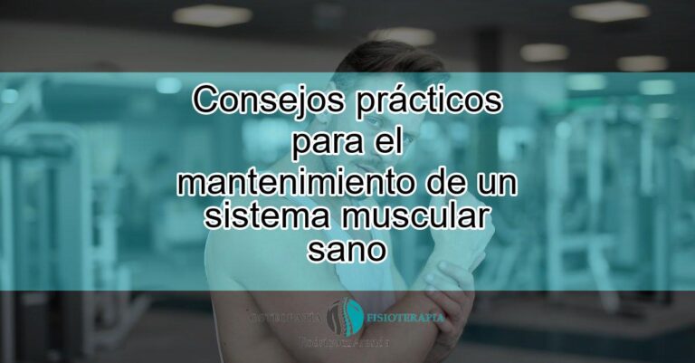 Consejos Practicos Para El Mantenimiento De Un Sistema Muscular Sano Featured